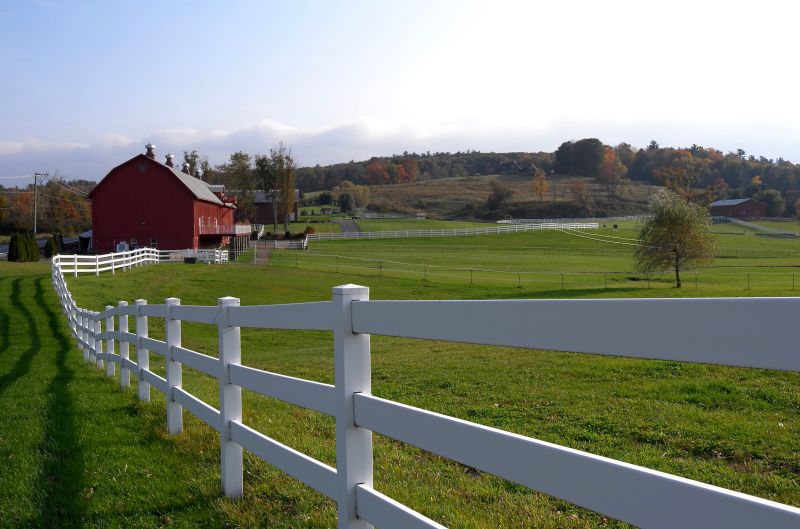 Horse Fence Painting in Waco, TX