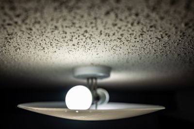 Stipple Ceiling Repair Service in Waco, TX